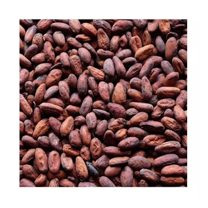 Granos de Cacao de Alta Calidad - Granos de Cacao - Granos de Chocolate - Product Image 4