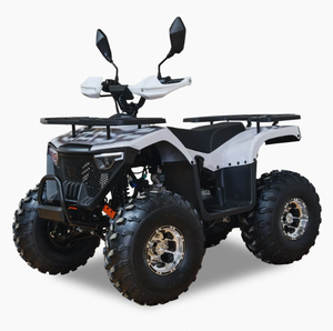 Quad tout-terrain adulte Chithan 125cc 4 temps à transmission par chaîne automatique 1000W essence 4x4 avec blocage de différentiel CE 3 ans OEM ODM DIY - Product Image 6