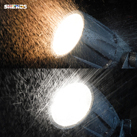 Projecteur LED COB SHEHDS IP65 étanche avec zoom, lumière froide et chaude 2-en-1, 300W, pour théâtre et événements