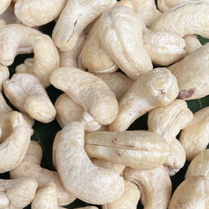 Oferta Especial 2023: Nueces de Anacardo Crudas WW180, WW240, WW320, LP. Compradores de Nueces de Anacardo Listos para Enviar - Product Image 1