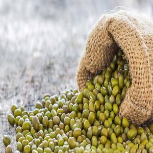 Haricots Mung Biologiques de Haute Qualité Sans OGM (Haricots Vigna) Frais, Vente en Gros d'Usine en Emballage en Vrac - Product Image 6