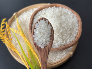 ข้าวญี่ปุ่น/ซูชิ/ข้าวญี่ปุ่น ชนิด JAPONICA หักงอกไม่เกิน 5% บรรจุภัณฑ์ 1 ปอนด์ 5 ปอนด์ 10 ปอนด์ 25 ปอนด์ 50 ปอนด์; ข้าวเวียดนาม ริซ ไรส์ ริจส์ (จอยซ์) - Product Image 3