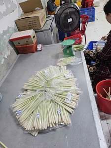 ตะไคร้สดสำหรับขายส่ง – คุณภาพส่งออกพรีเมียม พร้อมส่ง สมุนไพรธรรมชาติแท้สำหรับทำอาหารและชา (WA:+84 362512699) - Product Image 6