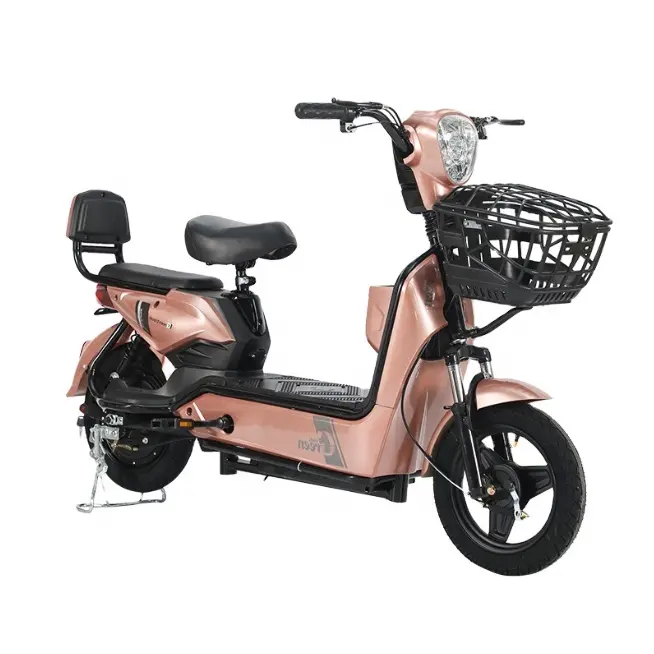 Sepeda listrik dengan motor 350W dan baterai 48V 12A kualitas baik sepeda listrik