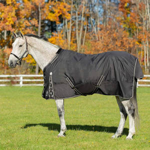 Nouvelle couverture pour cheval 2026, qualité supérieure, imperméable, toutes saisons, rembourrage polyester, 2 sangles de fixation, fabrication mécanique, OEM ODM - Product Image 3