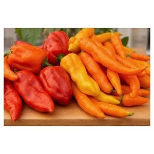 Piment Habanero Frais de la Ferme en Gros – Fournisseur et Exportateur de Piments Extra Forts de Qualité Supérieure pour Supermarchés et Détaillants - Product Image 6