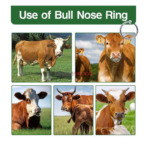 Stainless Steel Bull <b>Nose</b> <b>Ring</b> for Cattle Husbandry Durable Reliable CE Certified 3-Year Warranty Farmers Veterinarians - Product Image 5