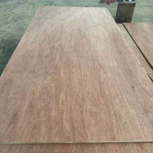 Tablero de contrachapado de trigo minimalista fabricado en Vietnam, de segunda clase, Bintangor, con núcleo de eucalipto - Product Image 3