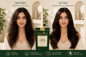 Poudre de Cassia Premium, mouture fine, épice naturelle pour la transformation alimentaire, assaisonnement et approvisionnement en vrac pour l'exportation - Product Image 4