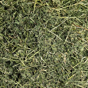 Heno Seco 100% Natural de Pasto Rhodes Clean Farm, Alimento para Rumiantes, Alto en Fibra, Pacas a Granel, Alimento para Perros y Peces, Suministro al por Mayor e Importación - Product Image 1