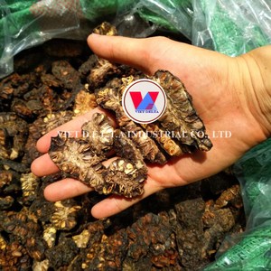 Fruits vietnamiens séchés Noni-Un coup de pouce pur et naturel pour votre bien-être - Product Image 3