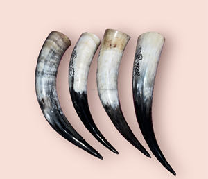 Corne de boeuf polie écologique de haute qualité meilleur prix pour une caractéristique animale élégante pour la corne à boire Viking artisanat naturel - Product Image 1