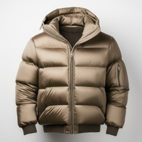 Veste matelassée à capuche beige pour homme, coupe-vent, hiver, décontractée, col montant, fermeture éclair, rembourrage en duvet, extérieur en polyester