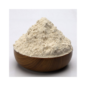 Poudre de peptides de riz en gros volume disponible pour les réseaux de distribution en gros - Product Image 4
