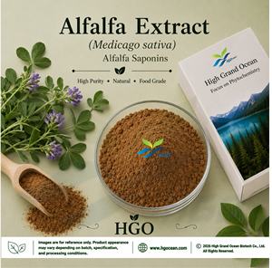 Suministro directo de fábrica de HGO Extracto de alfalfa natural puro/extracto de Medicago sativa (grado alimenticio) saponinas de alfalfa 20% - 40% - Product Image 1