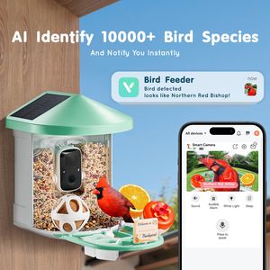 Mangiatoia per Uccelli Intelligente ad Energia Solare con Tecnologia AI HD 2K, Identifica Oltre 10.000 Specie di Uccelli, Impermeabile, Funzione di Cattura Automatica - Product Image 2