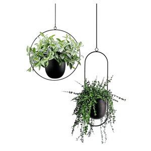 Wholesale Powder Metal Hanging Plant <b>Pots</b> High Quality Round & Oval Iron Wall Hangers For Plants Eco-Friendly Home Decor - Product Image 3