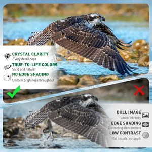 Binocolo Compatto 20x50 ad Alta Potenza per Adulti, Impermeabile con Visione Notturna per Birdwatching, Caccia e Calcio - Product Image 4