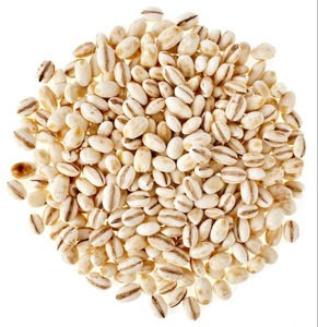 Graines d'orge offrant une germination fiable, une performance des grains élevée et une valeur pratique pour l'agriculture et la production - Product Image 4