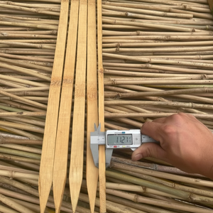 Estaca de Bambú al por Mayor de 1m - Varilla de Bambú Natural Resistente para Soporte de Plantas, Uso Agrícola y de Jardinería - Product Image 2