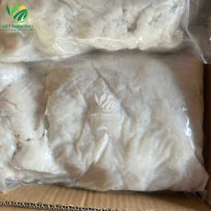 VIET THIEN PHU WHITE NATA DE COCO – MATIÈRE PREMIÈRE POUR LA LÉSIONNATION ALIMENTAIRE - Product Image 2