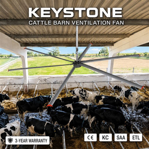 Ventiladores de Techo HVLS Keystone, Ventilación Grande para Establos de Vacas y Granjas - Product Image 1