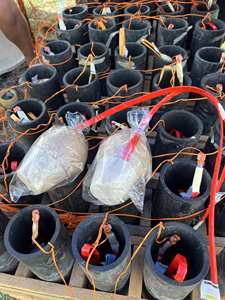 Allumeur électronique pyrotechnique 1M avec connecteur rapide - Conception compacte en spirale pour spectacle de feux d'artifice professionnels - Product Image 5