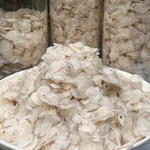 Écailles de poisson séchées du Vietnam pour l'extraction de collagène et la production de gélatine, en vrac, à prix compétitif. - Product Image 1