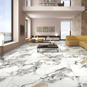 Carreaux de porcelaine modernes grand format 120x120 cm, émaillés numériquement, antidérapants, haute résistance, 9 mm d'épaisseur, pour les accents d'intérieur d'appartements - Product Image 2