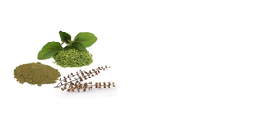 Extracto de Tulsi, Polvo Herbal Estandarizado para Apoyo Natural a la Salud, Inmunidad, Alivio del Estrés y Bienestar General - Product Image 1