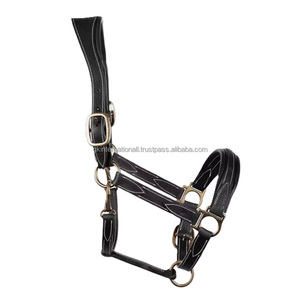 New Arrival Fancy White Stitching Heavy Duty Black and Havana Brown Leather Horse <b>Halter</b> in Full Cob - Product Image 5