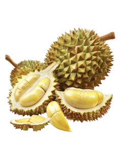 DURIAN VIETNAMITA LIOFILIZADO, EN REBRODOS, LISTO PARA COMER, SE PUEDE GUARDAR POR 24 MESES, SABOR ORIGINAL. - Product Image 4