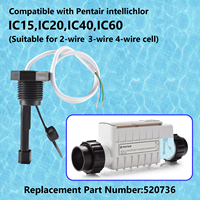 Compteur de débit de rechange, référence 520736, compatible avec les générateurs de chlore au sel IC15, IC20, IC40, IC60