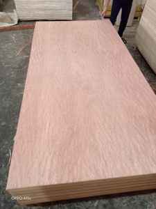 Panneaux de contreplaqué commercial avec âme en eucalyptus, design moderne pour appartement, 1220x2440mm, garantie 1 an, installation sur site - Product Image 3