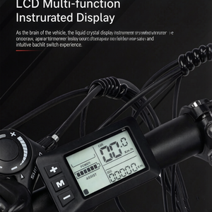 Vélo électrique avec moteur sans balais 250W, cadre en acier, roues de 26 pouces, 21 vitesses, freins à disque, batterie au lithium, léger, pour adultes, montagne - Product Image 6