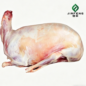 Carne di Agnello/Pecora Biologica Premium di Alta Qualità, Congelata, Certificata Halal, Processo BQF, Confezione Sottovuoto 10kg, 18 Mesi - Product Image 3