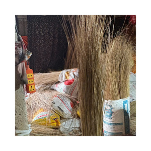 Brosse en fibre de coco vietnamienne de qualité supérieure, nettoyée et séchée au soleil pour la fabrication de balais - Product Image 1