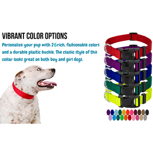 Collar de nailon básico personalizado para perros con hebilla, suministros para mascotas, accesorios para mascotas Martingale - Product Image 2