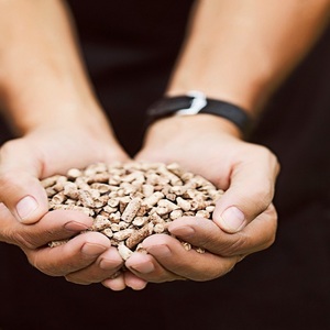 Venta al por Mayor de Fábrica, Precio Económico, Pellets de Madera de Pino y Haya EN Plus-A1 de 6mm/8mm en Bolsas de 15kg - Product Image 5