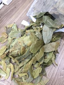 Hojas de Guanábana Secas de Origen Vietnamita, Ingrediente Vegetal para la Elaboración de Té de Hierbas y Bebidas, Suministro al por Mayor - Product Image 6
