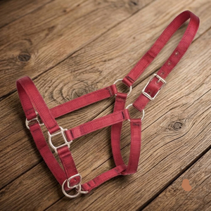 Nuevos Productos Ecuestres al por Mayor, Cabestro de Nailon Ajustable y Cómodo para Montar a Caballo, Cabestro de Nailon Resistente y Suave para Caballos - Product Image 5