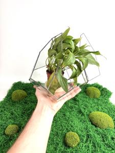 Contemporary Terrarium <b>Mini</b> Indoor Garden Perfect For Hotel Lobby And Hospitality Interior Decoration Handcrafted From India - Product Image 4