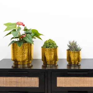 Maceta Metálica para Plantas de Interior y Exterior, Ideal para Hogar, Jardín y Oficina, Disponible a Buen Precio - Product Image 3