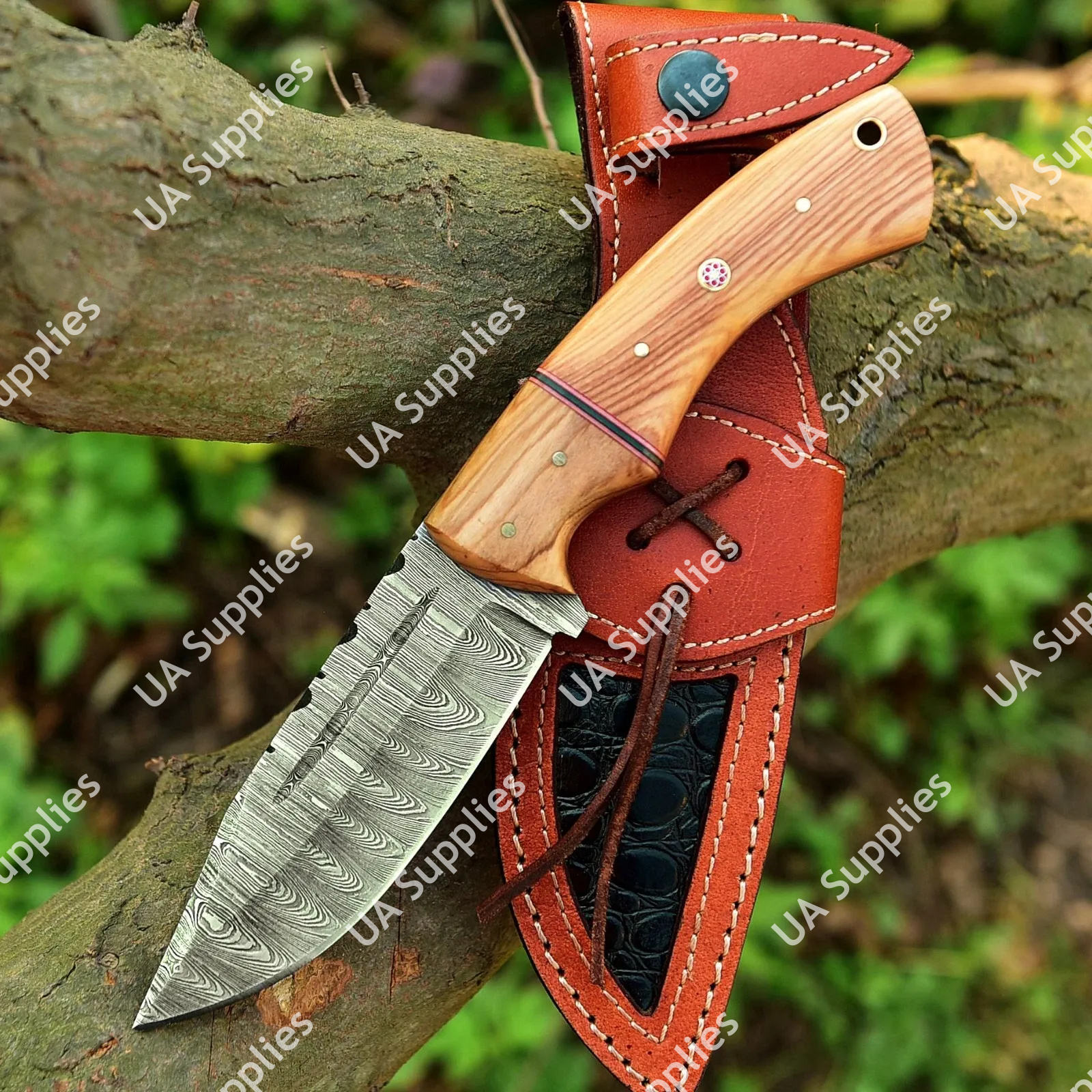 ไม้โอลีฟ