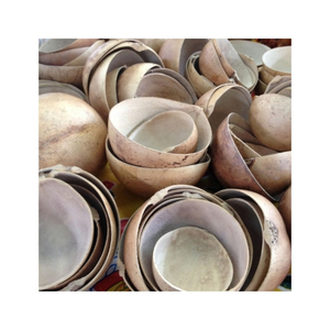 Vaisselle Artisanale Écologique en Gourde de Calabash : Excellent Rapport Qualité-Prix pour le Service Alimentaire et la Décoration de Table – Idéal pour les Importateurs - Product Image 4