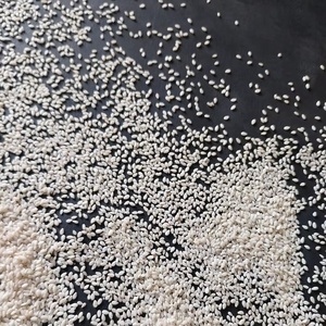 Semillas de Sésamo Descascarilladas de Alta Pureza 99.98% Naturales, Semillas de Sésamo Blancas de Grado Alimenticio, Calidad de Exportación, Bolsas de Yute de 25kg / 50kg - Product Image 4