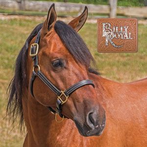 Harnais de cheval réglable de haute qualité en cuir pour l'équitation et la course, disponible en tailles et couleurs personnalisées, vente en gros - Product Image 3