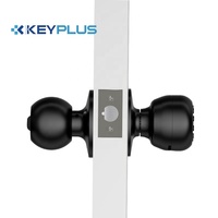 Cerradura de Bola Redonda Inteligente con Contraseña de Acero Inoxidable Keyplus, Sin Manija, para Puerta de Seguridad de Oficina o Habitación