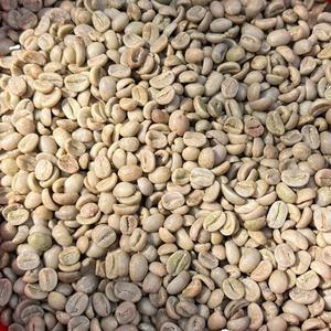 [Alta Calidad] Nueva Cosecha 25-26 Lam Dong Grado 1 Granos de Café Arábica Crudos, Empaque de 60 kg, Marca Dhpone, 90% Maduros, 13.2% Humedad - Product Image 2
