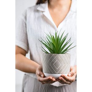 Planta Artificial Pequeña de 8 Pulgadas Hecha a Mano en Maceta de Cemento, Decoración de Escritorio Estilo Rústico, Plantas Artificiales en Macetas - Product Image 2